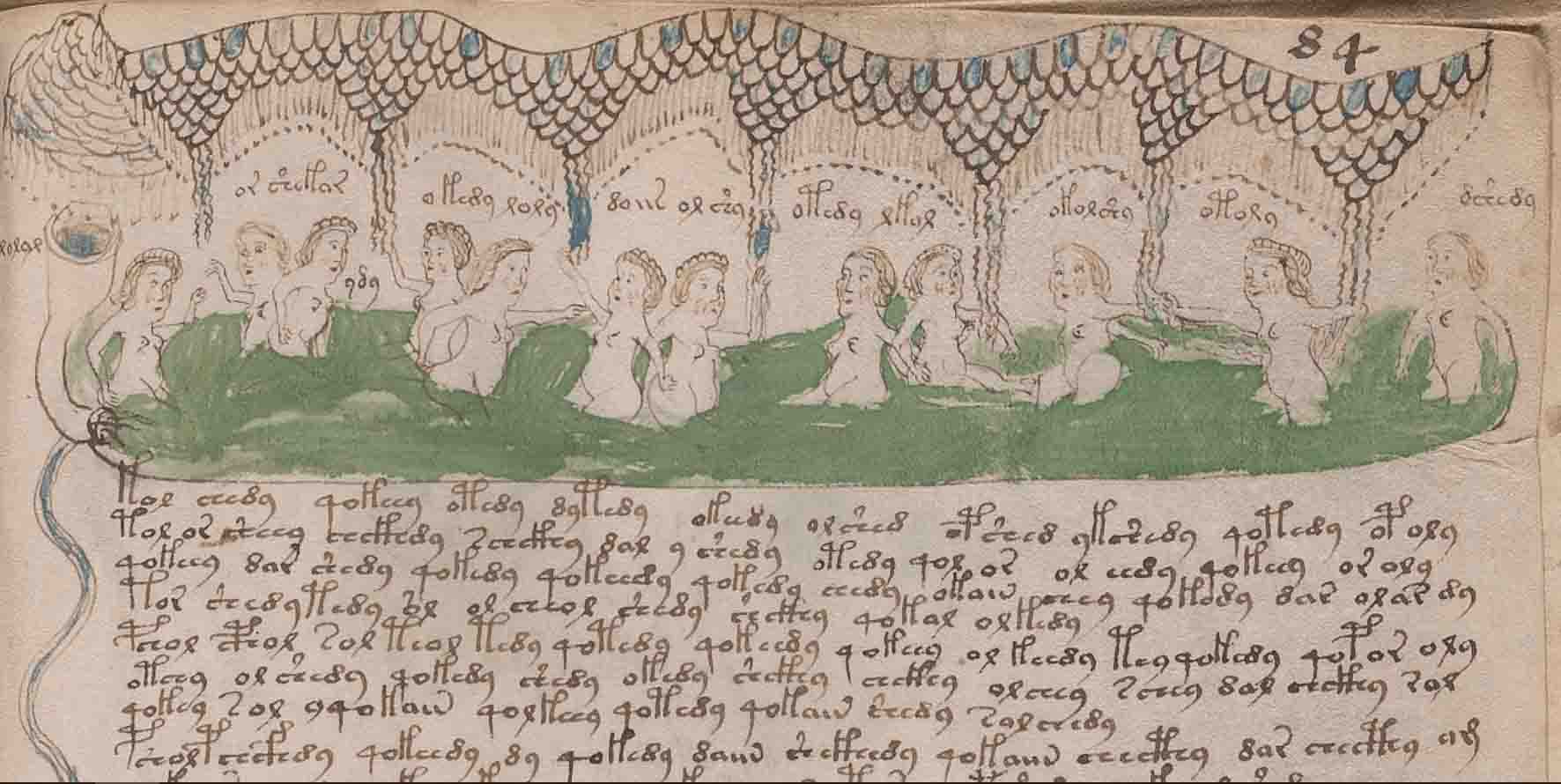 El misterio del Manuscrito Voynich